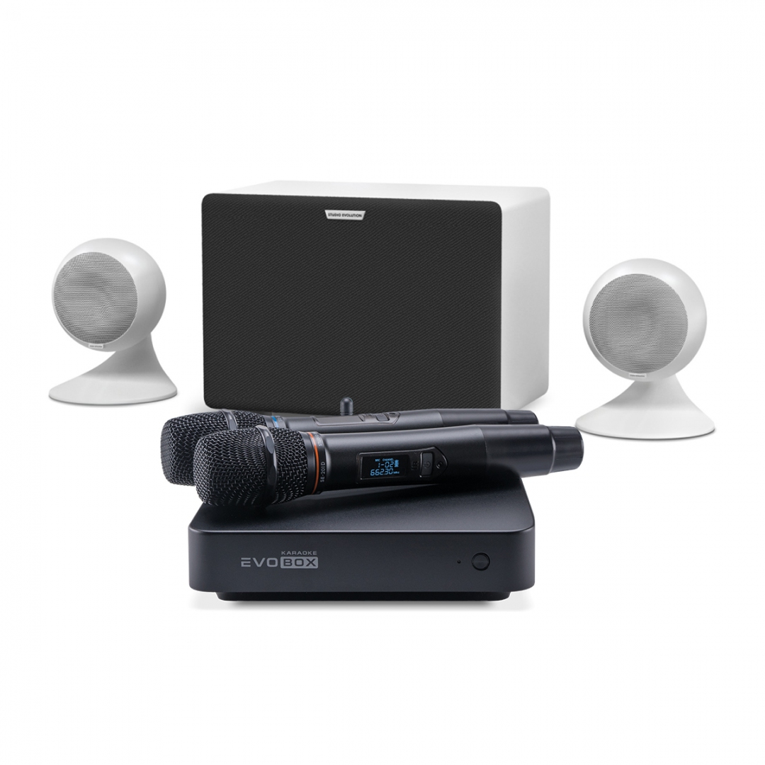 караоке-комплект EVOBOX Classic + EvoSound Sphere 2.1 в Славянске-на-Кубани