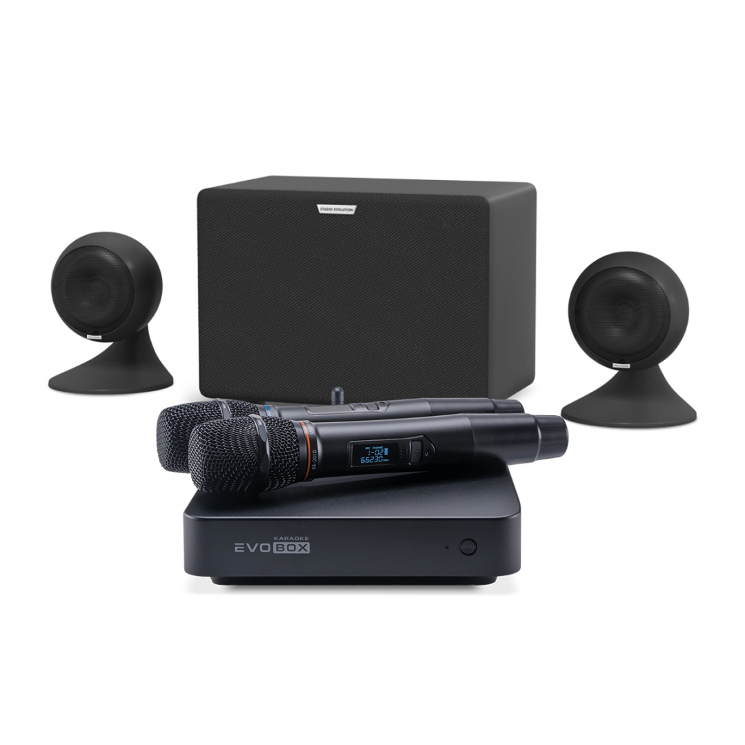 караоке-комплект EVOBOX Plus + EvoSound Sphere 2.1 в Славянске-на-Кубани