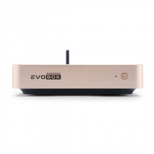 EVOBOX Plus караоке-система для дома в Славянске-на-Кубани